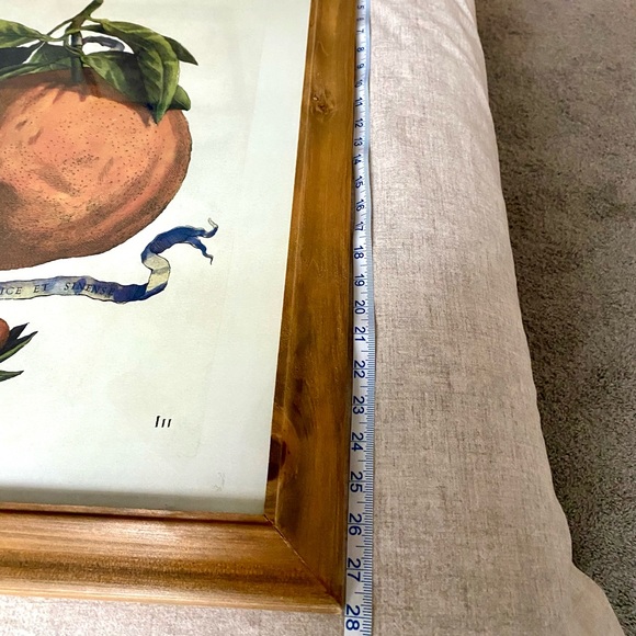 Vintage Inspired Framed Fruit Print - Picture 2 of 3